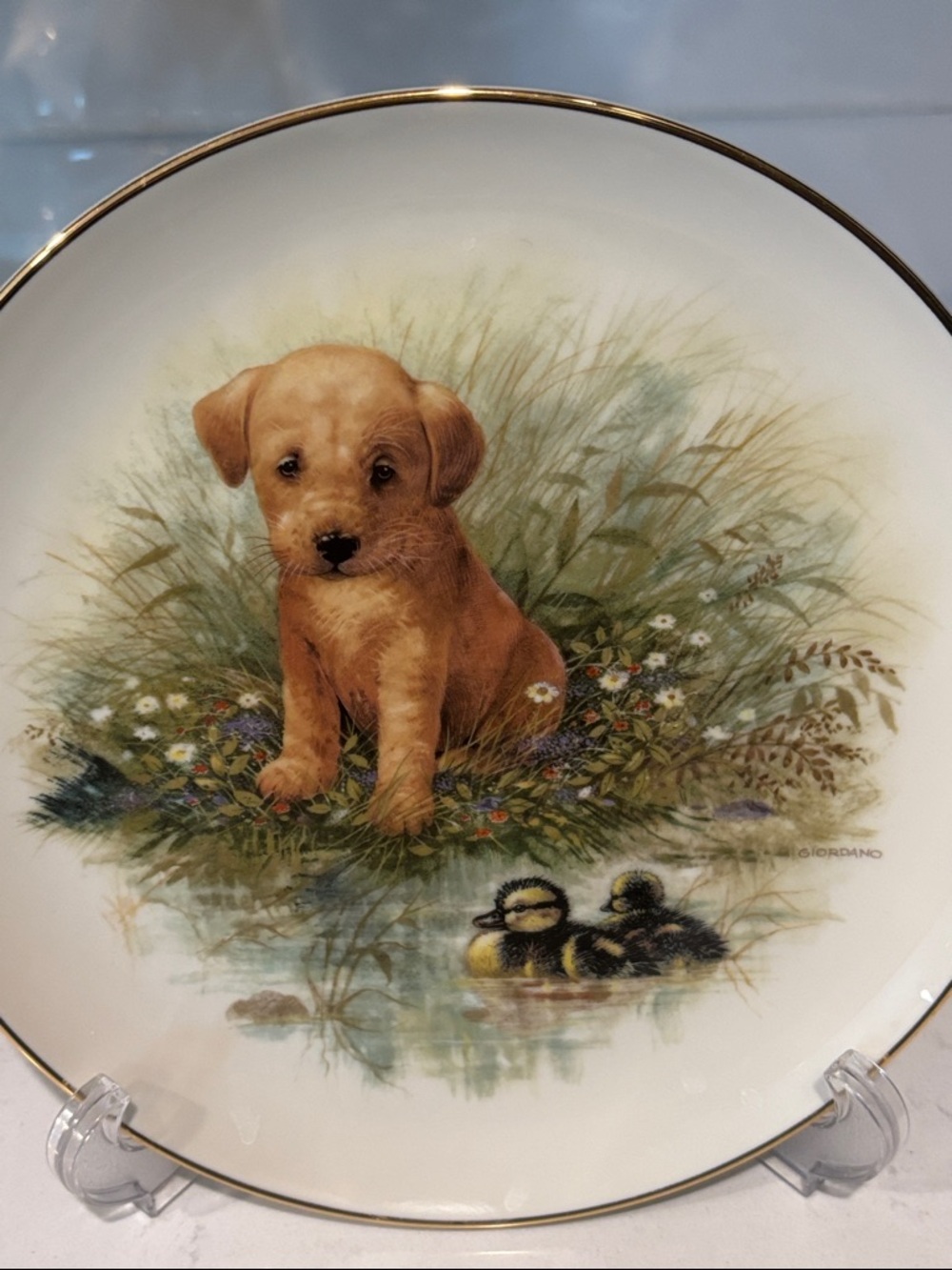 “Innocent Encounters – Second Issue Collector Plate by Joseph Giordano GUC